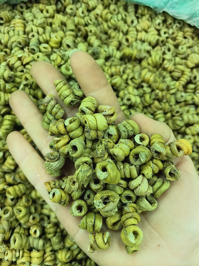 铁皮石斛霍山铁皮石斛规格齐全可供实体店批发零售