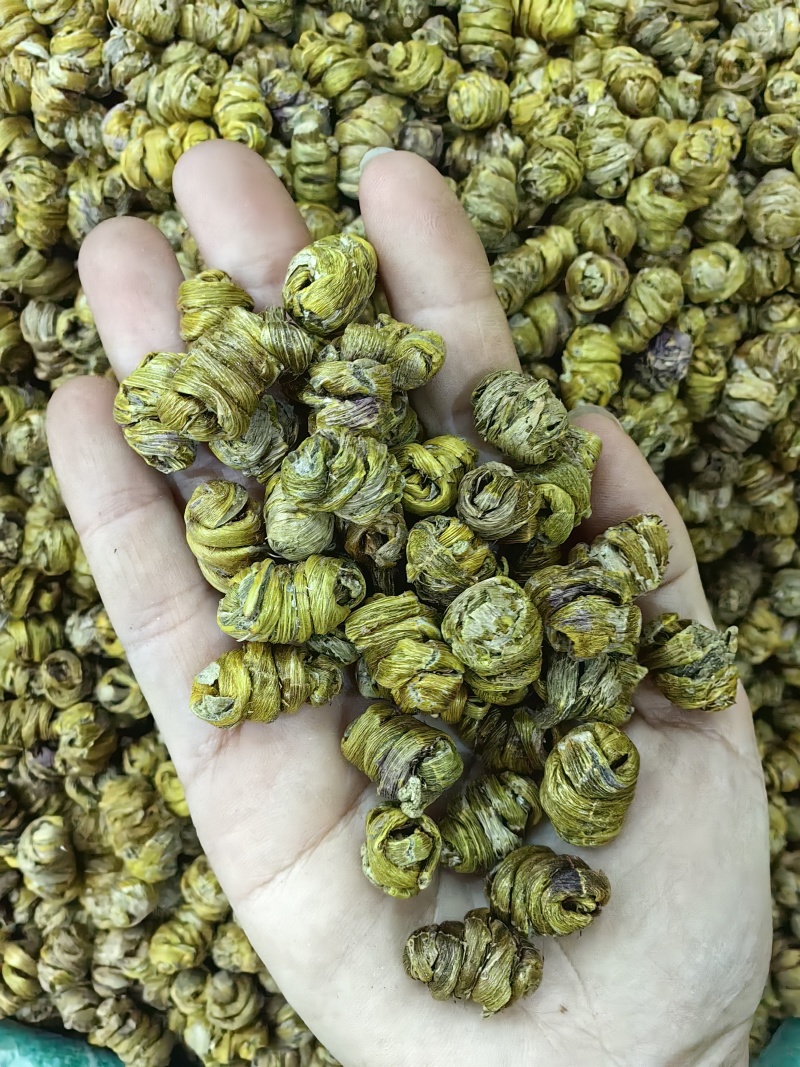 铁皮石斛霍山铁皮石斛规格齐全可供实体店批发零售
