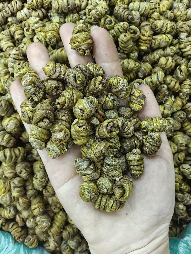 铁皮石斛霍山铁皮石斛规格齐全可供实体店批发零售