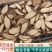 千斤拔批发优质千斤拔产地一手货源量大价优