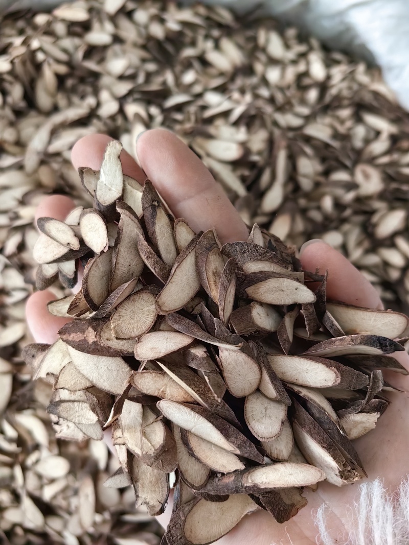 千斤拔批发优质千斤拔产地一手货源量大价优