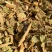 排钱草【包邮】三斤起发货可批量可零售量大从优