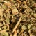排钱草【包邮】三斤起发货可批量可零售量大从优