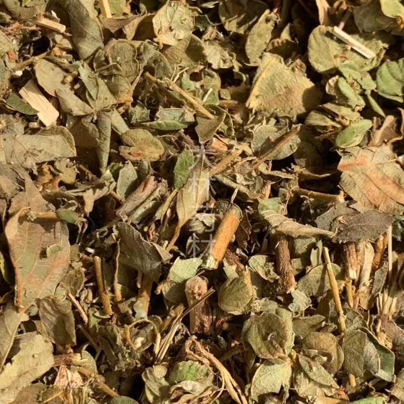 排钱草【包邮】三斤起发货可批量可零售量大从优