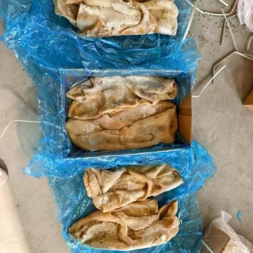3152牛肚、质量好、价格合理