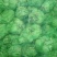 榨菜大量供工厂