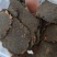 带壳核桃饼，欢迎大小养殖场，经销商合作，全国发货