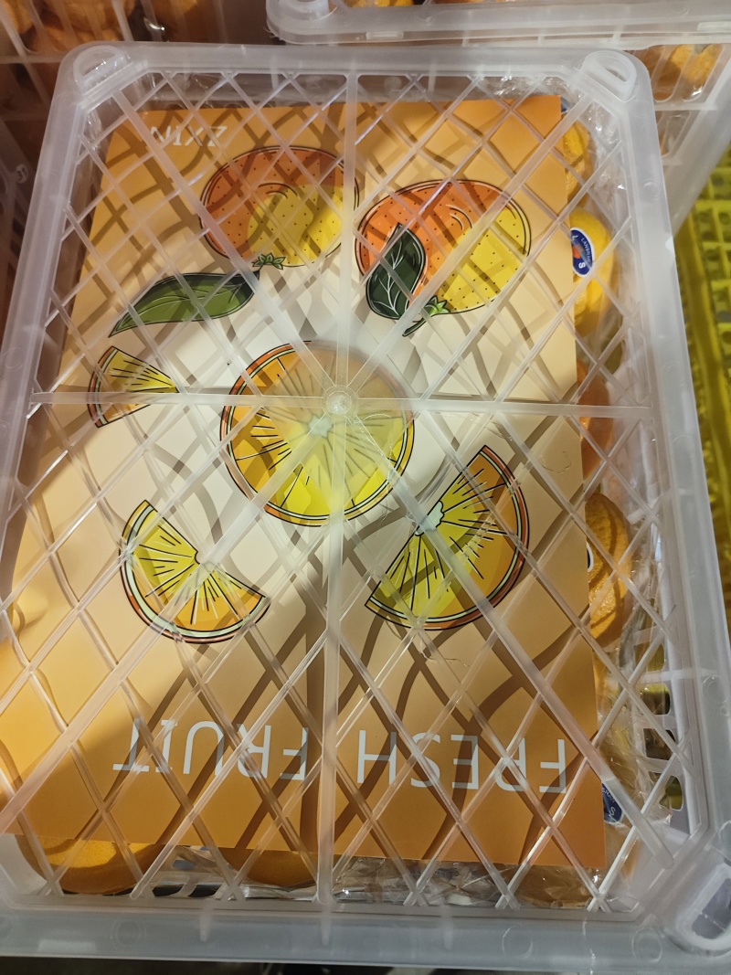 沃柑湖北伦晚脐橙口感脆甜品质保证
