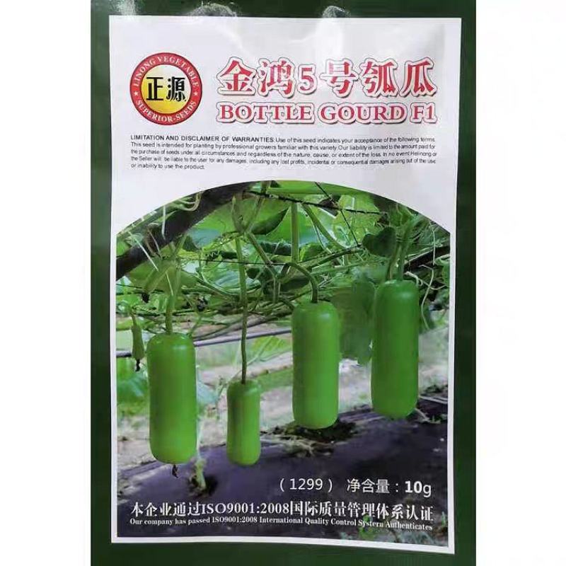金鸿5号瓠瓜种子早生耐热耐寒瓜色油绿味甜