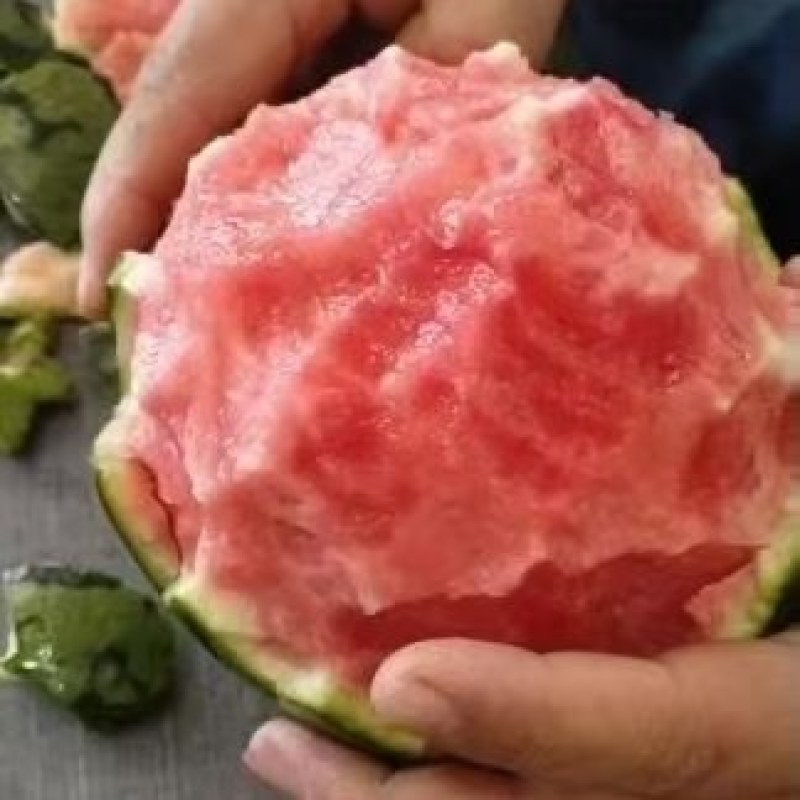 精品早春红玉西瓜大量上市，质量好，价格低，成熟度高，