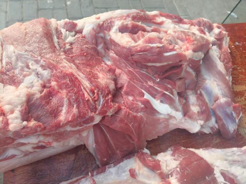 前腿猪肉，精品发货，量大从优，新鲜宰割，货源充足