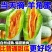 羊角蜜甜瓜支持一件代发和大电商平台产地直供