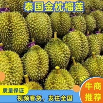 泰国金枕头榴莲果型饱满产地发货大量常年供应欢迎合作