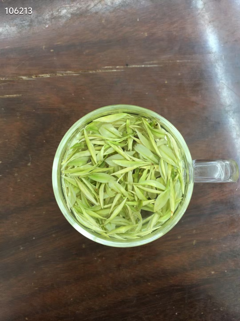 安吉白茶黄金芽浙江安吉白茶