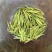 安吉白茶黄金芽浙江安吉白茶