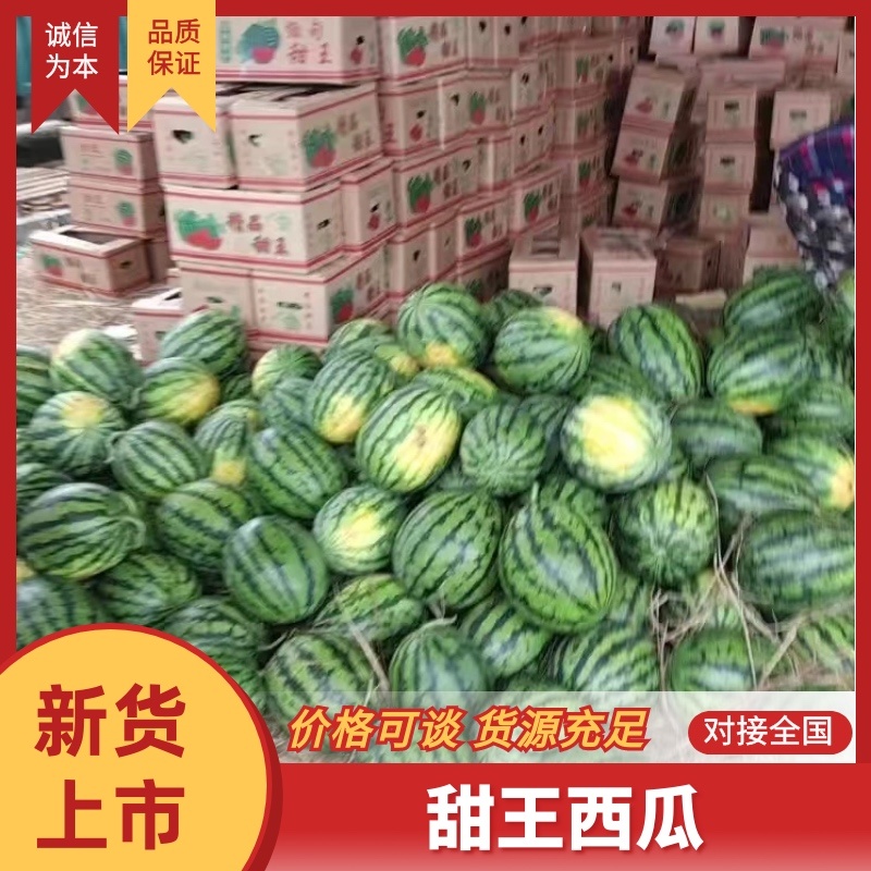 甜王西瓜大量有货价格美丽对接商超致电咨询