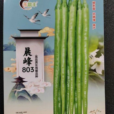 晨峰803辣椒种子顺长直品质保证厂家直发欢迎来电