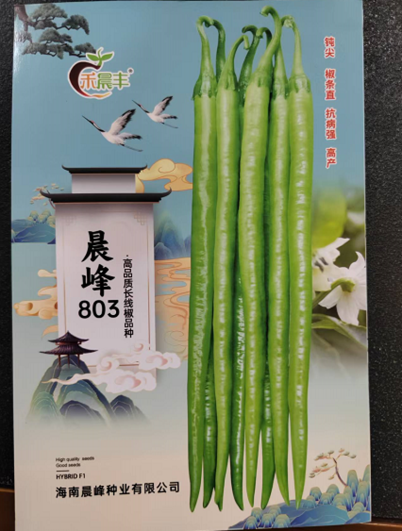晨峰803辣椒种子顺长直品质保证厂家直发欢迎来电