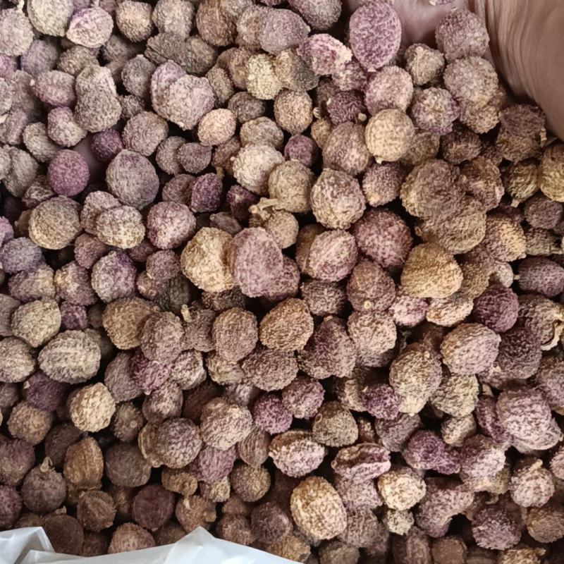 阳春砂仁干货统货一手货源整车发货欢迎实地考察量大从优