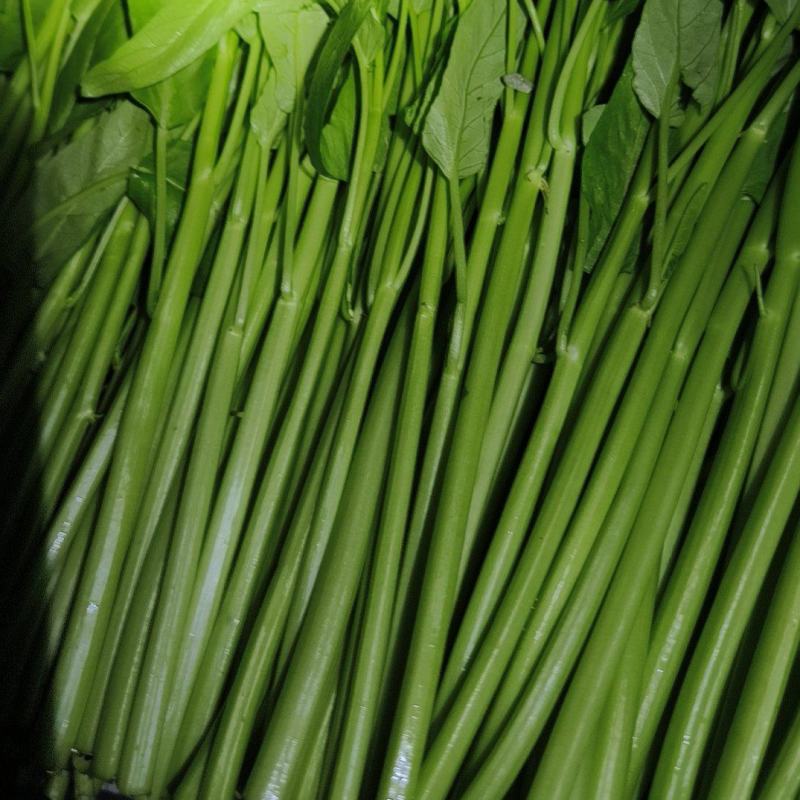 精品泡沫箱空心菜