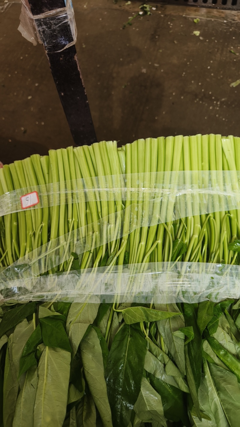 精品泡沫箱空心菜