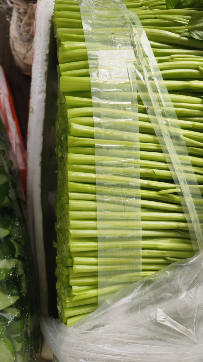 精品泡沫箱空心菜