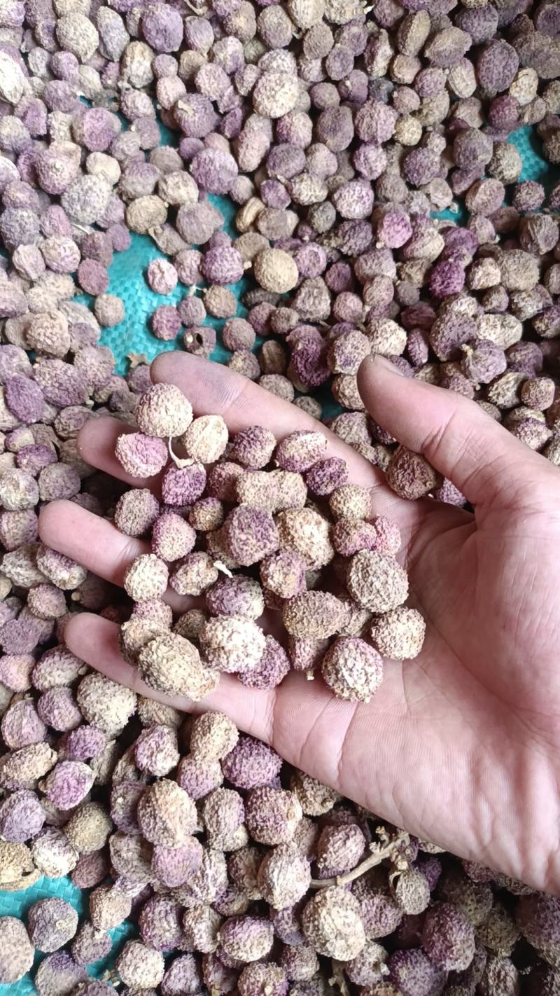 阳春砂仁干货统货一手货源整车发货欢迎实地考察量大从优