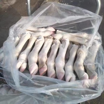 高质量纯干不抽筋牛蹄，货好价不高，常年有货
