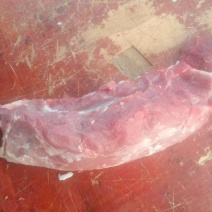 精品猪里脊大量供应保质保量，新鲜宰杀，对接全国客商