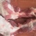 前腿猪肉，精品发货，量大从优，新鲜宰割，货源充足