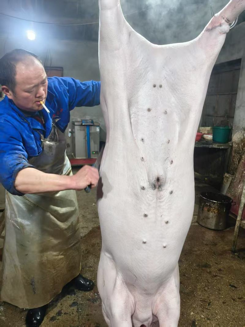 前腿猪肉，精品发货，量大从优，新鲜宰割，货源充足