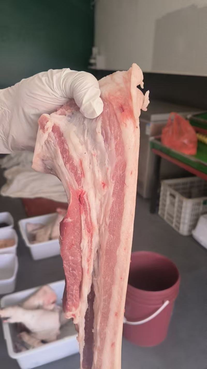 猪后腿肉大量供应保质保量对接全国客商可视频看货验货