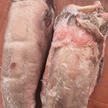冷链顺丰包邮，精品猪舌供应，新鲜发货，量大从优