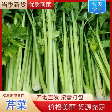 本地芹菜精品西芹大量有货价格不高欢迎选购