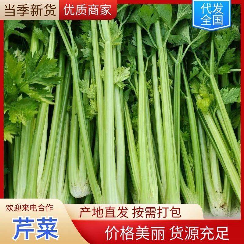 本地芹菜精品西芹大量有货价格不高欢迎选购