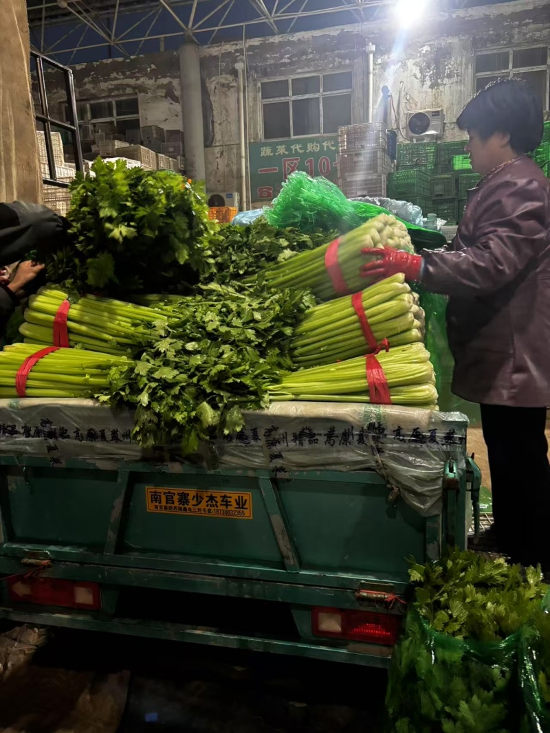本地芹菜精品西芹大量有货价格不高欢迎选购