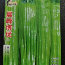 晨峰博优薄皮辣椒种子厂家直发浅绿色辣味中等欢迎来电