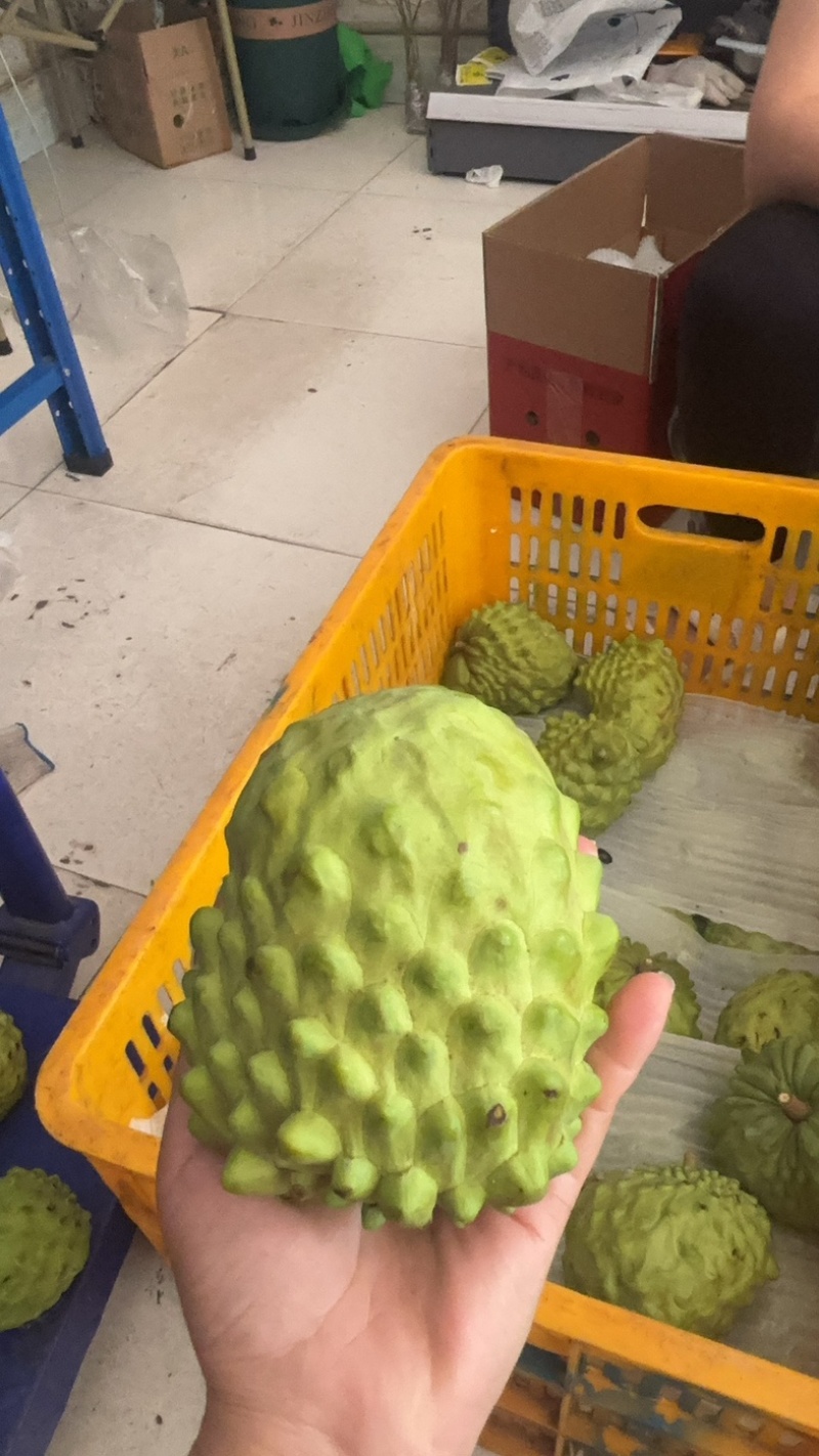 正宗云南凤梨牛奶释迦果