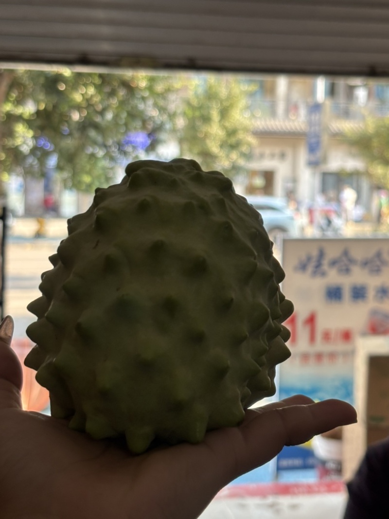 正宗云南凤梨牛奶释迦果