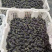 【精品】桑葚产地直销量大质优价格优惠支持视频看货