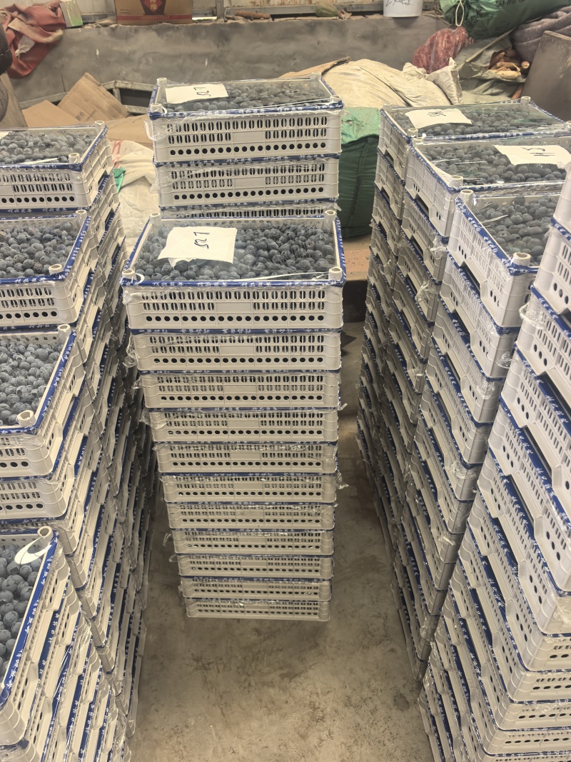 精品蓝莓诚信经营L25优瑞卡F6L11大量有货