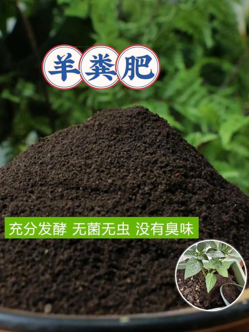 羊粪有机肥