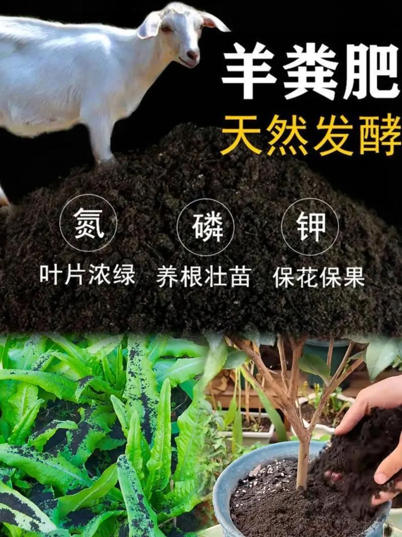 羊粪有机肥