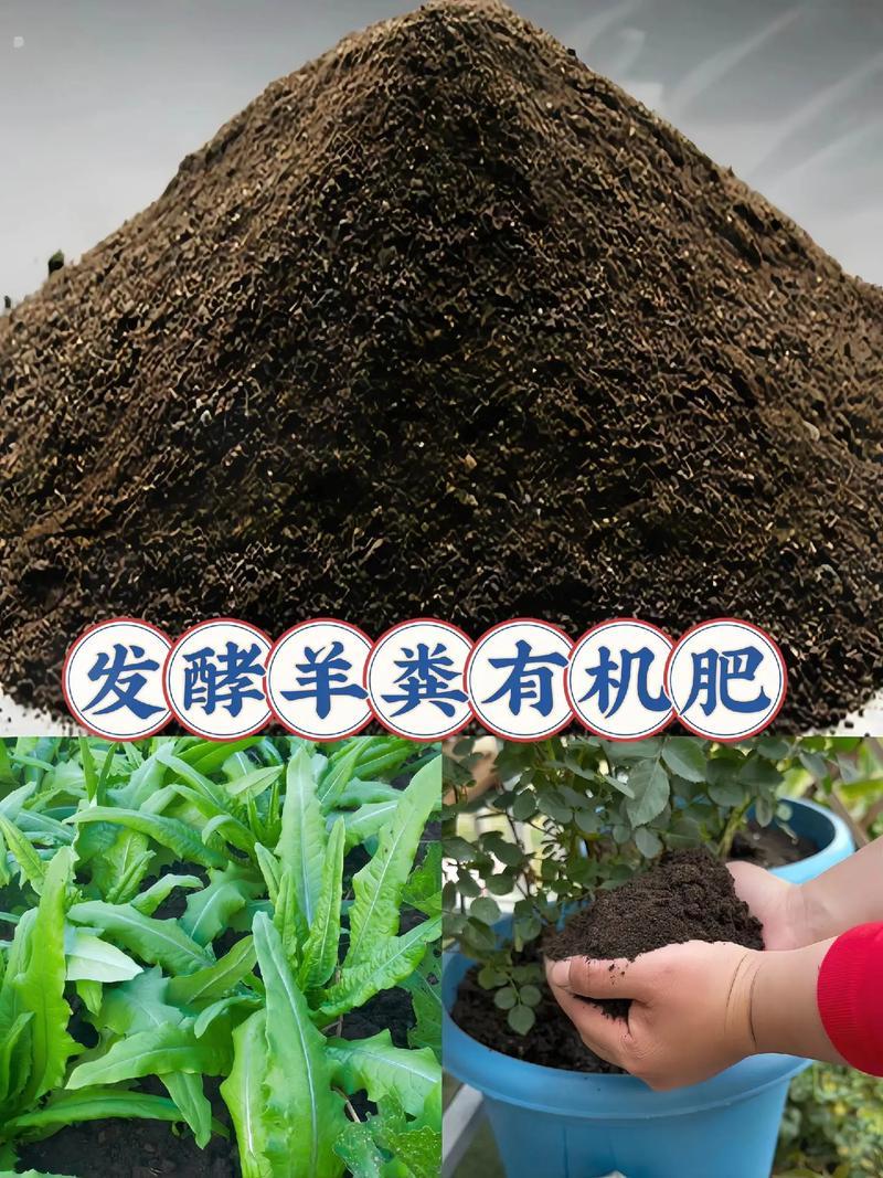 羊粪有机肥