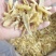 【玉竹】玉竹片玉竹条批发价格现货实拍