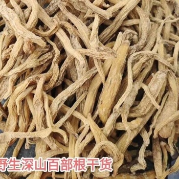 湖南永州原产地野生百部干货对接电商/批发