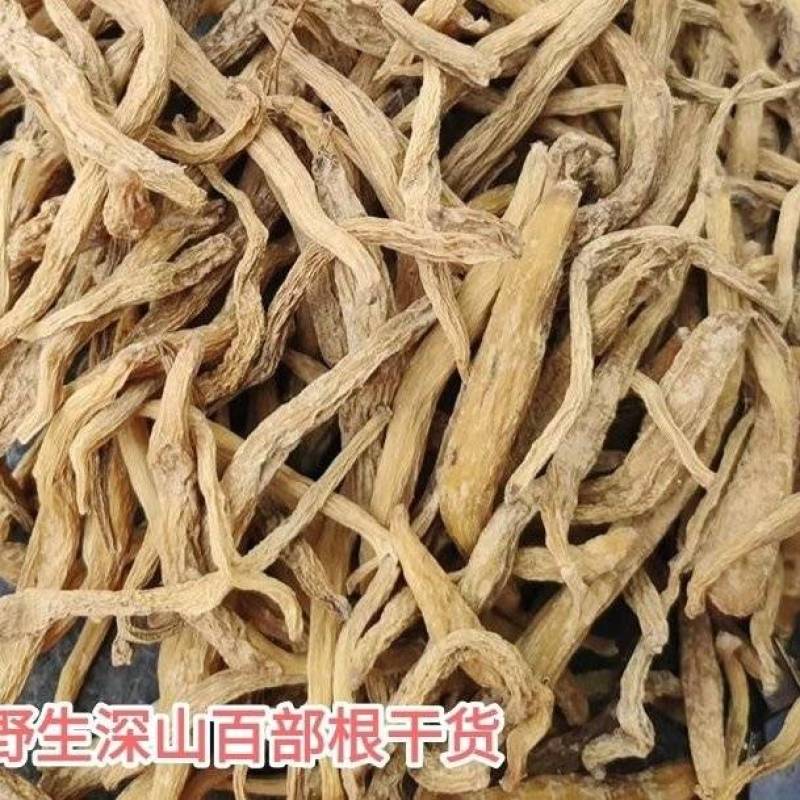 湖南永州原产地野生百部干货对接电商/批发