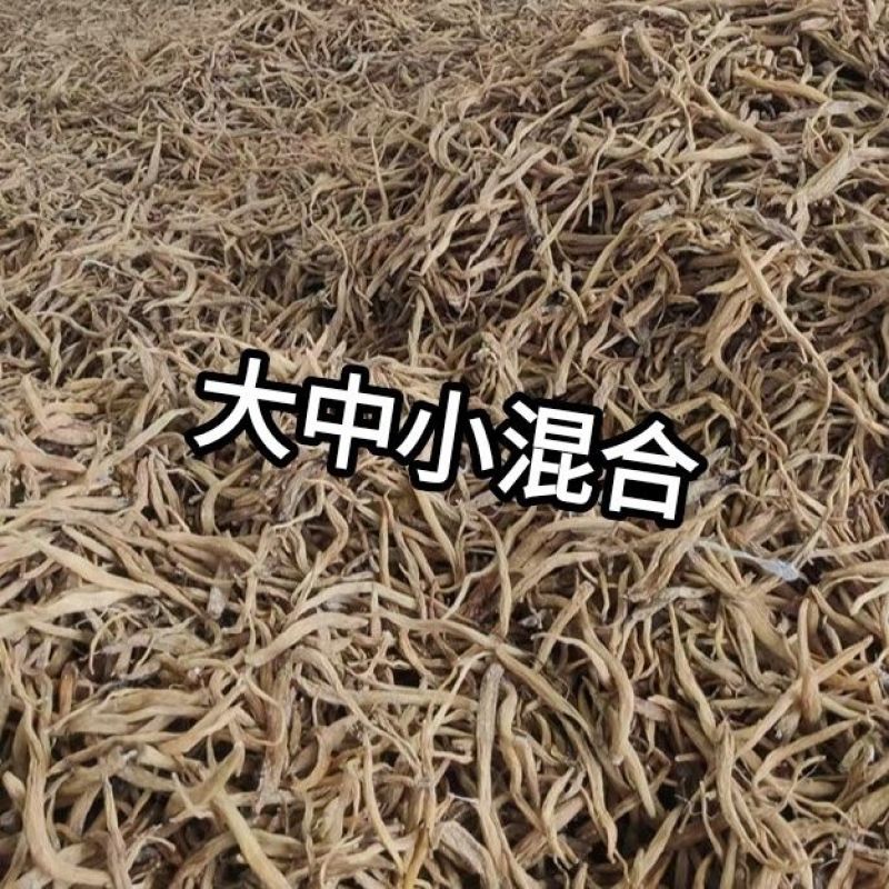 湖南永州原产地野生百部干货对接电商/批发