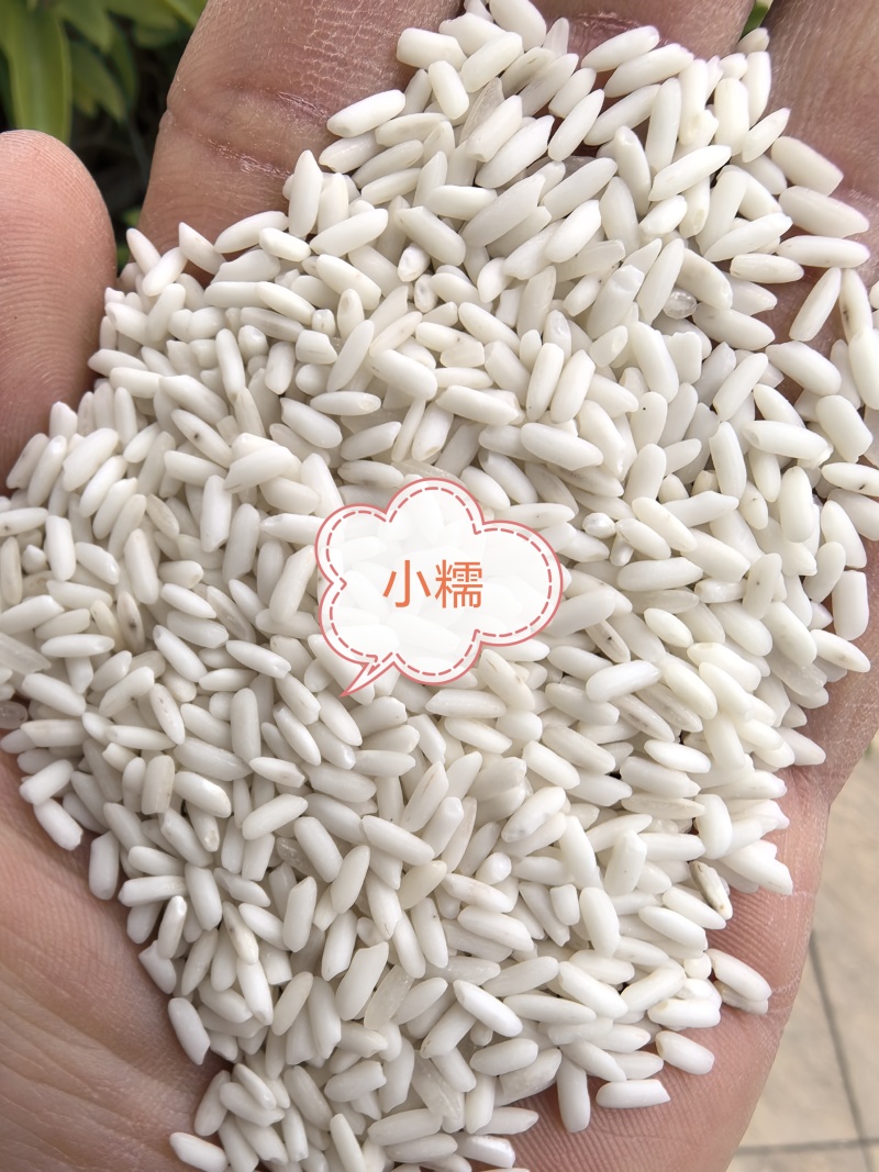 越南冬春糯米，现货现发，货源稳定，欢迎咨询