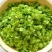 精选2025现摘现发新鲜榆钱野菜**营养价值高欢迎老板